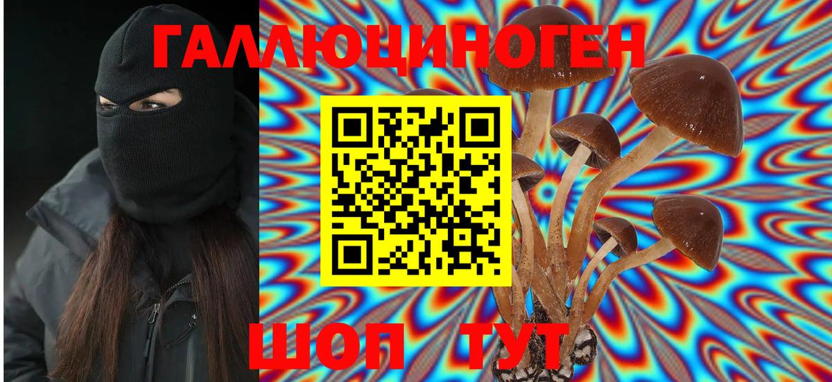 Галлюциногенные грибы мицелий Видное